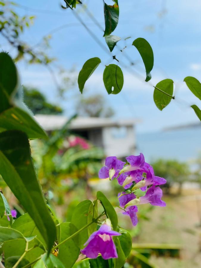 Coibahouse Hotel Санта Каталина Екстериор снимка