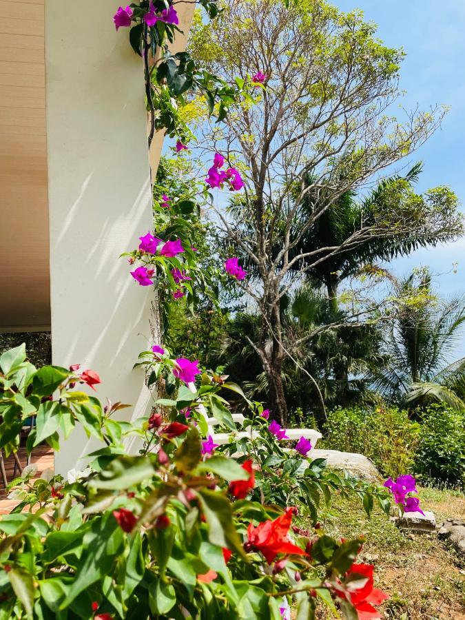 Coibahouse Hotel Санта Каталина Екстериор снимка
